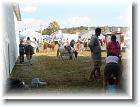 DSC00858 * 2048 x 1536 * (1.35MB)